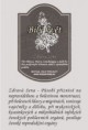 Bílý květ - Zdravá žena